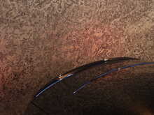 Audi S5 TDI V6 Black Edition - U12721