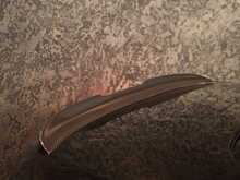 BMW M8 i V8 Competition - U13061