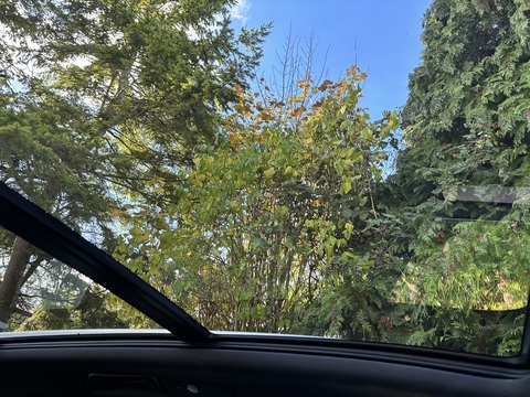 3.0 TDI V6 BlueMotion Tech R-Line SUV 5dr Diesel Tiptronic 4WD Euro 5 (s/s) (245 ps)