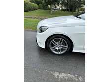 Mercedes-Benz E Class E250 Amg Line