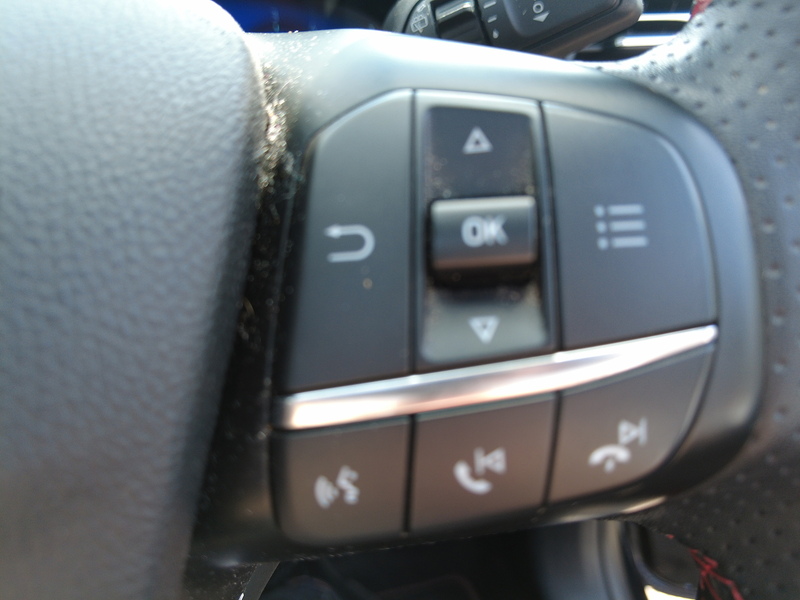 Ford Kuga EcoBlue ST-Line X Edition - U93886
