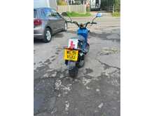 Honda Zoomer 50cc Moped  