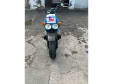 Honda Zoomer 50cc Moped  