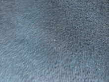 2019 68 NISSAN NAVARA 2.3 DCI AUTO TEKNA DOUBLE CAB PICKUP NO VAT