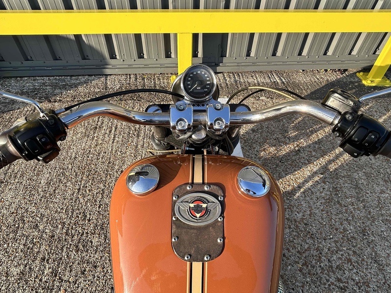 Harley-Davidson 1340 Petrol