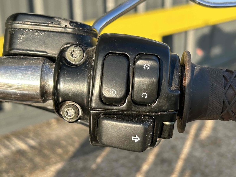 Harley-Davidson 1340 Petrol