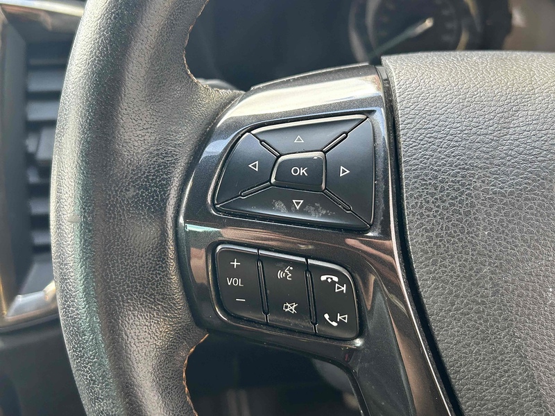 Ford 2.0 EcoBlue Wildtrak Pickup Double Cab 4dr Diesel Auto 4WD Euro 6 (s/s) (213 ps)