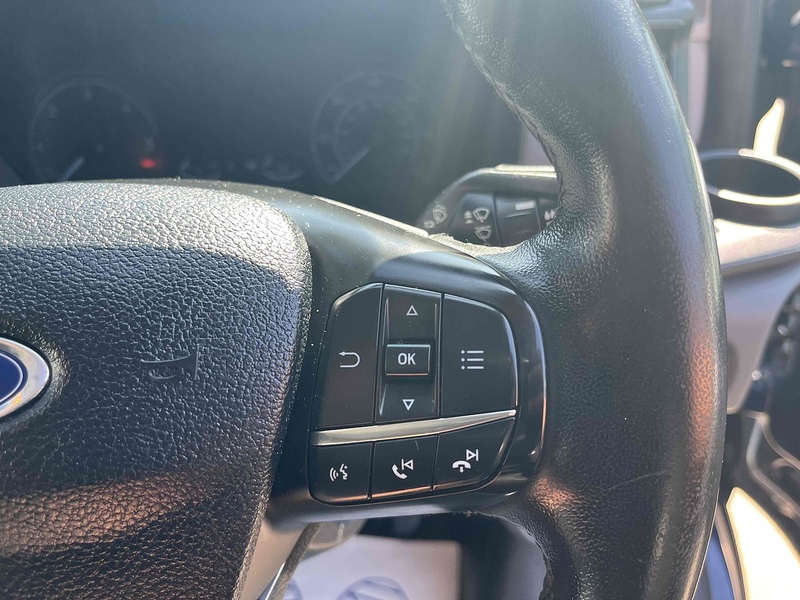 Ford 320 EcoBlue Trend Panel Van 2.0 Manual Diesel