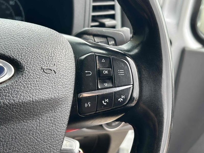 Ford 300 EcoBlue Trail Panel Van 2.0 Manual Diesel