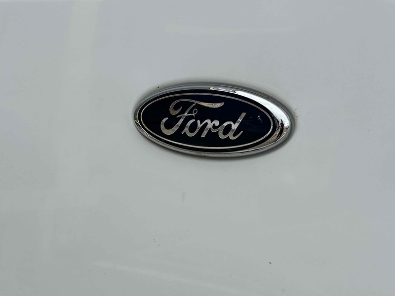 Ford 300 EcoBlue Trail Panel Van 2.0 Manual Diesel