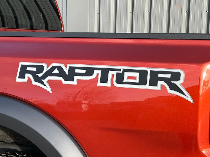 Ford 2.0 EcoBlue Raptor Pickup Double Cab 4dr Diesel Auto 4WD Euro 6 (s/s) (210 ps)