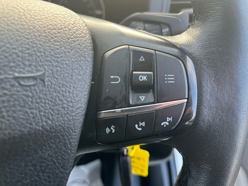 Ford 350 EcoBlue Trend Panel Van 2.0 Manual Diesel