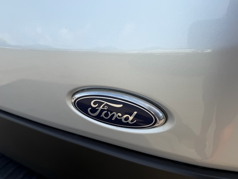Ford 2.0 350 EcoBlue MHEV Limited Panel Van 5dr Diesel Manual FWD L2 H2 Euro 6 (s/s) (130 ps)
