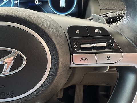 1.6 T-GDi 13.8kWh Premium SUV 5dr Petrol Plug-in Hybrid Auto 4WD Euro 6 (s/s) (265 ps)