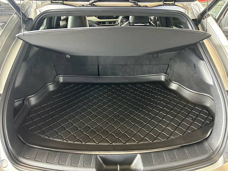 Lexus UX 250h - U11055