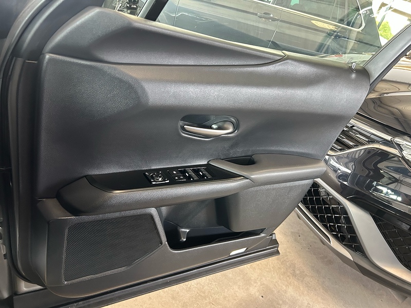 Lexus UX 250h - U11055