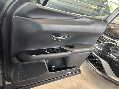 Lexus UX 250h - U11055