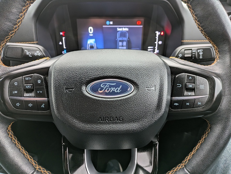 Ford 2.0 TD EcoBlue Wildtrak Pickup Double Cab 4dr Diesel Auto 4WD Euro 6 (s/s) (205 ps)