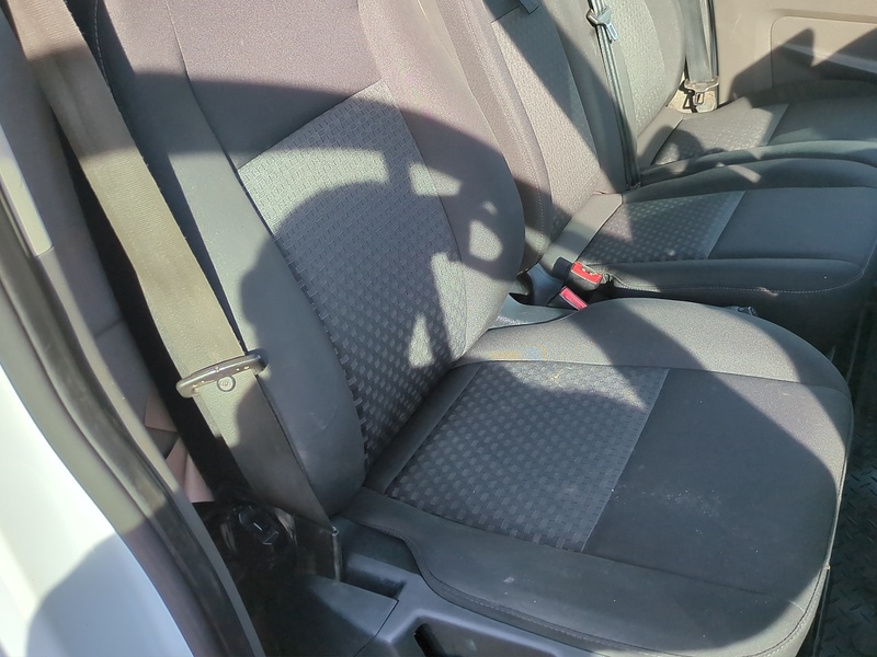 Ford 2.0 350 EcoBlue Trend Panel Van 5dr Diesel Manual RWD L2 H2 Euro 6 (s/s) (170 ps)