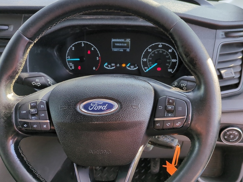 Ford 2.0 350 EcoBlue Trend Panel Van 5dr Diesel Manual RWD L2 H2 Euro 6 (s/s) (170 ps)