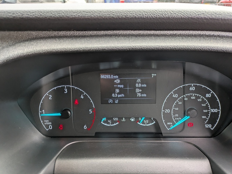 Ford 2.0 350 EcoBlue Trend Panel Van 5dr Diesel Manual RWD L3 H2 Euro 6 (s/s) (130 ps)