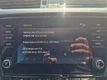 Skoda Octavia TDI Scout 