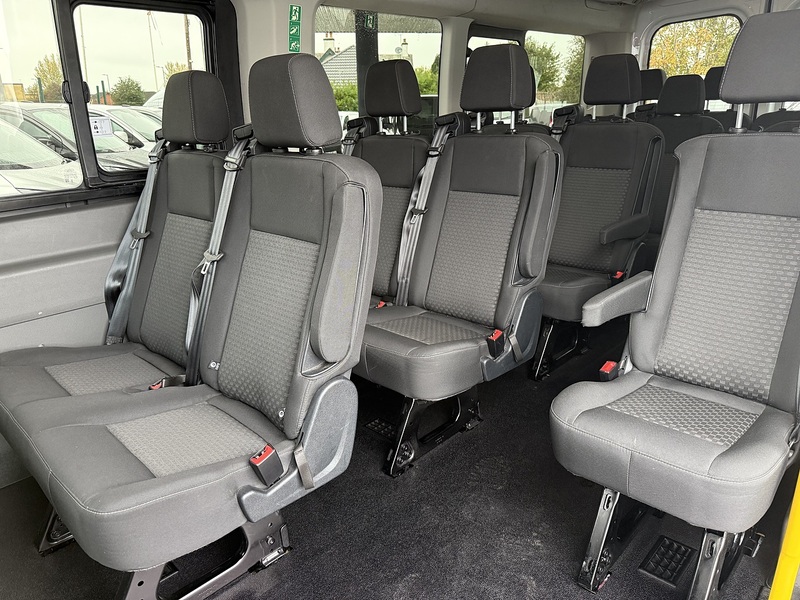 Ford 2.0 460 EcoBlue Trend Minibus Double Cab 5dr Diesel Manual RWD L4 H3 Euro 6 (s/s) (17 Seat, DRW) (165 ps)