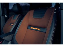 3.2 TDCi Wildtrak Pickup Double Cab 4dr Diesel Auto 4WD Euro 5 (200 ps)