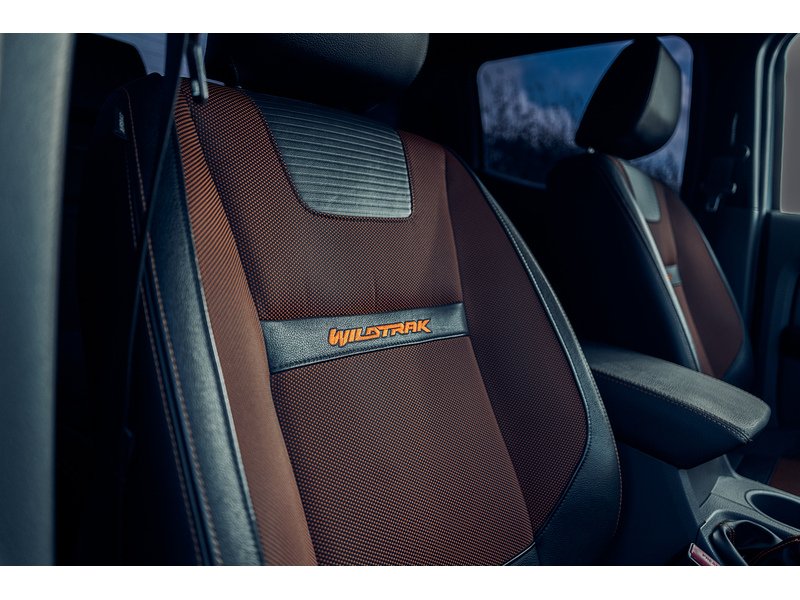 Ford 3.2 TDCi Wildtrak Pickup Double Cab 4dr Diesel Auto 4WD Euro 5 (200 ps)