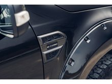 2.0 EcoBlue Wildtrak Pickup Double Cab 4dr Diesel Auto 4WD Euro 6 (s/s) (213 ps)