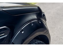 2.0 EcoBlue Wildtrak Pickup Double Cab 4dr Diesel Auto 4WD Euro 6 (s/s) (213 ps)