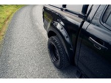 2.0 EcoBlue Wildtrak Pickup Double Cab 4dr Diesel Auto 4WD Euro 6 (s/s) (213 ps)