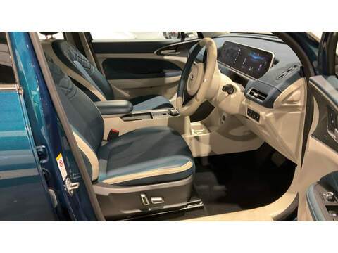 GWM Funky Cat First Edition - U123473489