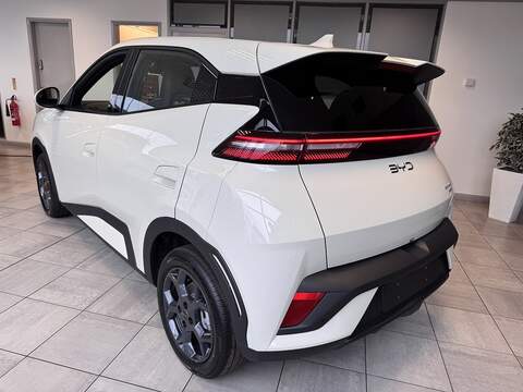 Byd DOLPHIN SURF Boost - N127