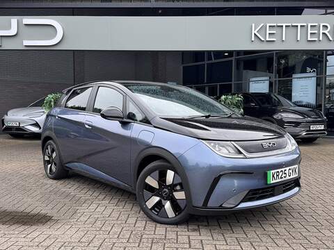 Byd Dolphin Design - U5145