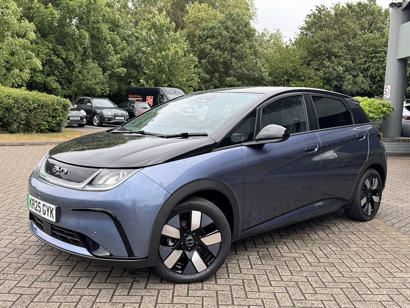 Byd Dolphin Design - U5145