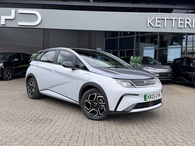 Byd Dolphin Design - U4993