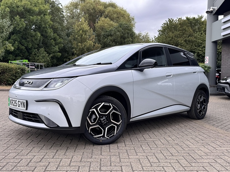 Byd Dolphin Design - U4993