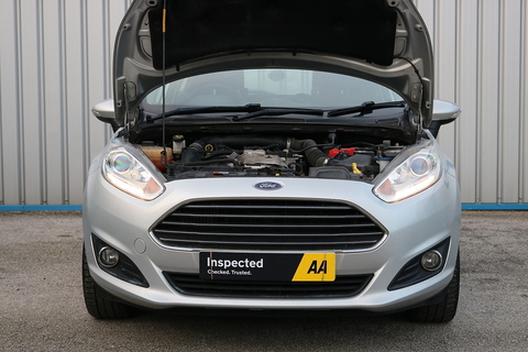 1.0T EcoBoost Zetec Hatchback 5dr Petrol Powershift Euro 5 (100 ps)