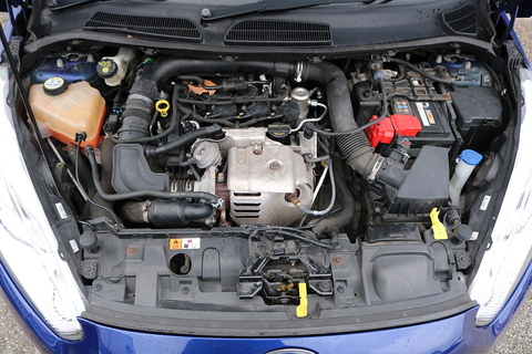 1.0T EcoBoost Zetec Hatchback 5dr Petrol Powershift Euro 6 (100 ps)