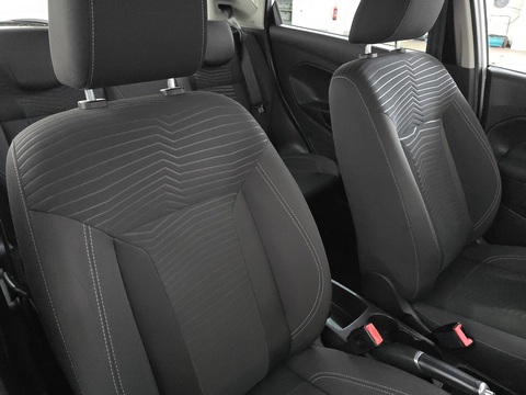 1.0T EcoBoost Zetec Hatchback 5dr Petrol Powershift Euro 5 (100 ps)