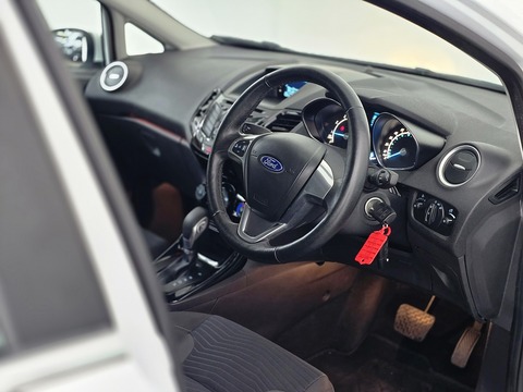 1.0T EcoBoost Zetec Hatchback 5dr Petrol Powershift Euro 5 (100 ps)