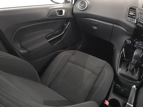 1.0T EcoBoost Zetec Hatchback 5dr Petrol Powershift Euro 5 (100 ps)