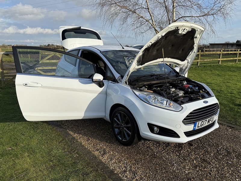 Ford 1.0T EcoBoost Titanium Hatchback 3dr Petrol Manual Euro 6 (s/s) (100 ps)