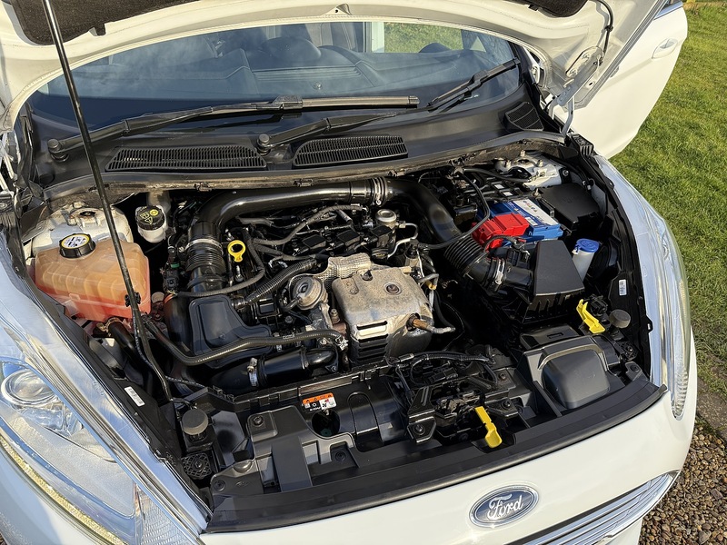 Ford 1.0T EcoBoost Titanium Hatchback 3dr Petrol Manual Euro 6 (s/s) (100 ps)