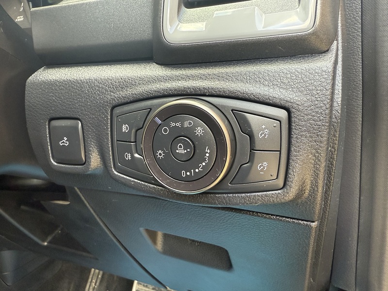 Ford 2.0 EcoBlue Raptor Pickup Double Cab 4dr Diesel Auto 4WD Euro 6 (s/s) (213 ps)