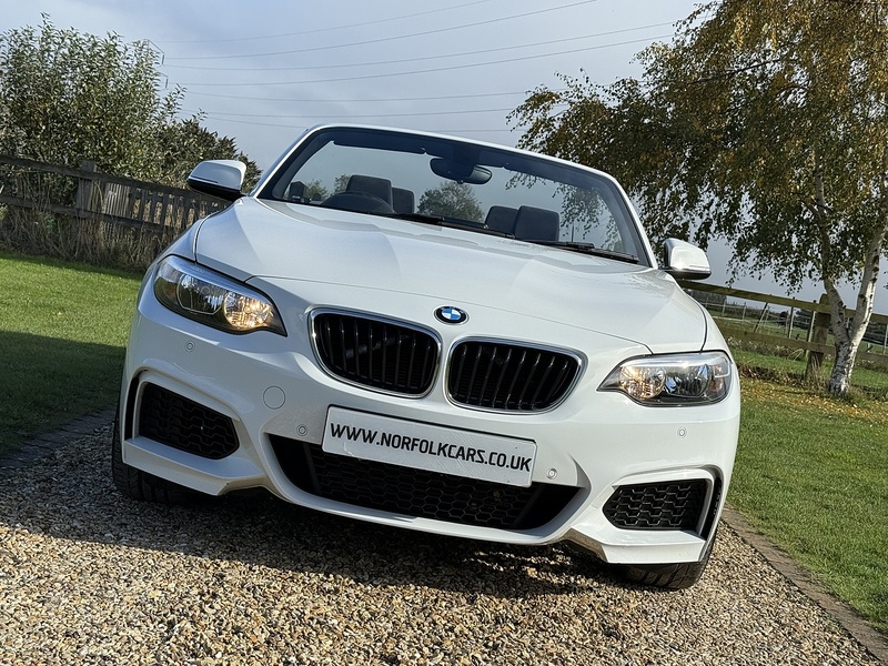 BMW 1.5 218i M Sport Convertible 2dr Petrol Auto Euro 6 (s/s) (136 ps)