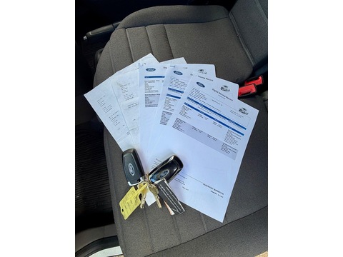 1.5 240 EcoBlue Limited Panel Van 5dr Diesel Auto L2 Euro 6 (s/s) (120 ps)