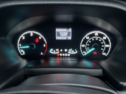 2.0 300 EcoBlue Limited Panel Van 5dr Diesel Auto L1 H1 Euro 6 (s/s) (130 ps)