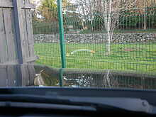 BMW M3 3.0 BiTurbo Saloon DCT Euro 6 (s/s)